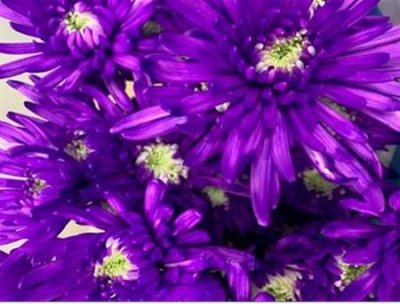Chr T Verf Topspin Milka