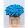 Chr T Verf Zembla Blue
