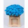 Chr T Verf Zembla Blue