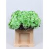Chr T Verf Zembla Green Glt