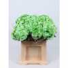 Chr T Verf Zembla Green Glt