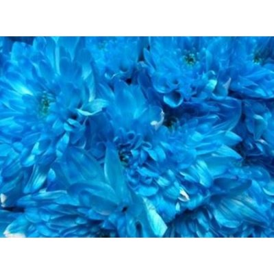 Chr T Verf Zembla Light Blue