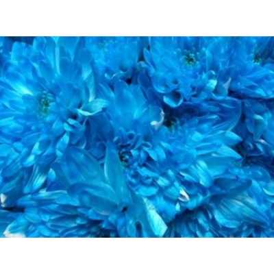 Chr T Verf Zembla Light Blue