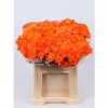 Chr T Verf Zembla Oranje Glitter