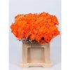 Chr T Verf Zembla Oranje Glitter