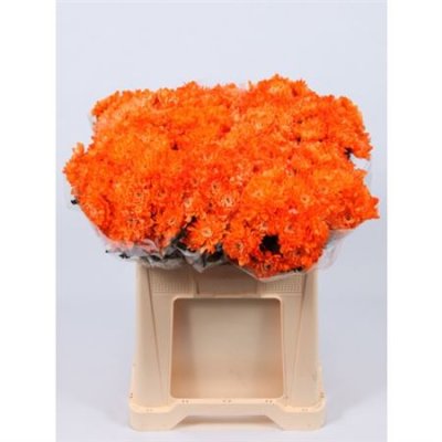 Chr T Verf Zembla Oranje Glitter