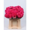 Chr T Verf Zembla Red Glt