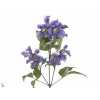Clematis Blue Pirouette