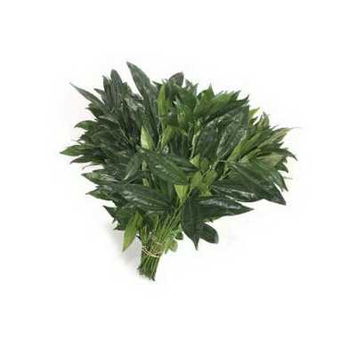 Cocculus