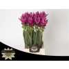 Curcuma Al Siam Soul
