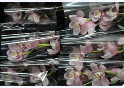 Cymb Gr Ov L Pink Roze X6