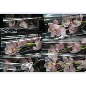 Cymb Gr Ov L Pink Roze X9