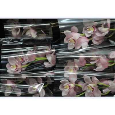 Cymb Gr Ov L Pink Roze X9