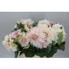 Dahlia Cafe Au Lait