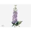 Delph El Fountain Lavender