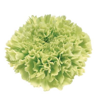 Di St H. Goblin Green