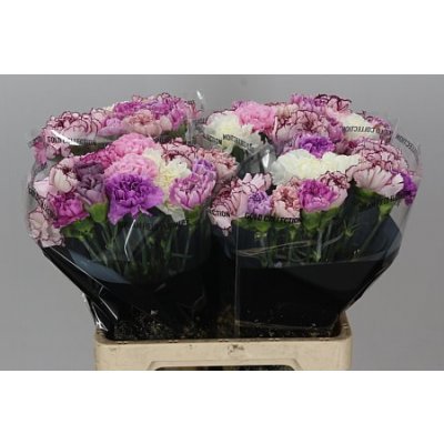 Di St Mix Lavender