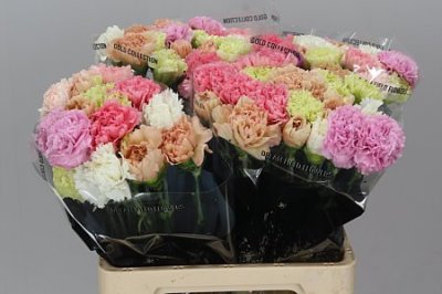 Di St Mix Pastel