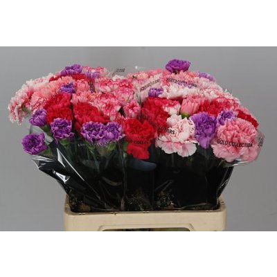 Di St Mix Pink