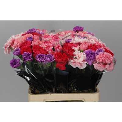 Di St Mix Pink