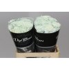 Di St Painted Pastel Black