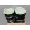 Di St Painted Pastel Black
