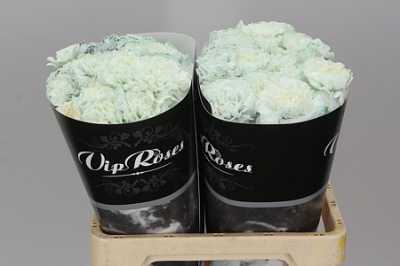 Di St Painted Pastel Black