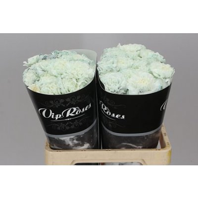 Di St Painted Pastel Black