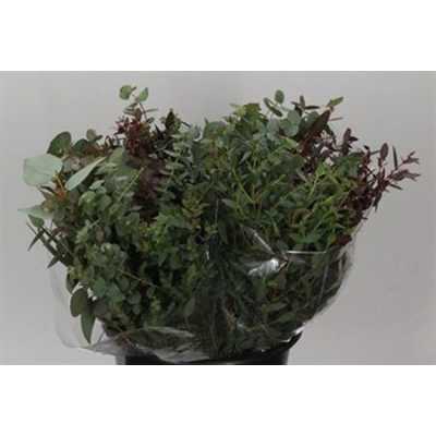 Eucalyptus Mix 45cm