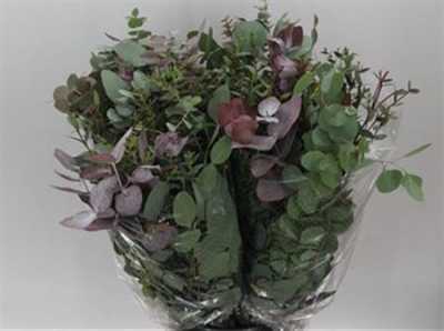 Eucalyptus Mix 65cm