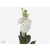 Eust Du Allissa Pure White