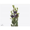 Eust En Bohemian Black Violet