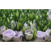 Eustom Dub Lavender Waalzicht