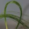 Flexi Grass