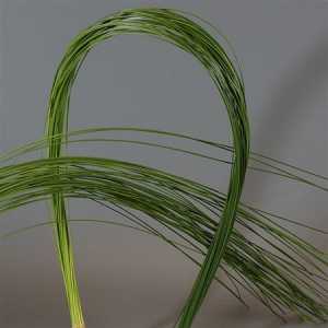 Flexi Grass