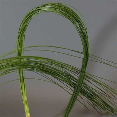 Flexi Grass