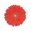 Gerb Red Explosion