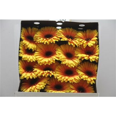 Gerbera Gr Diamond Acapulco