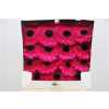 Gerbera Gr Diamond Aladin