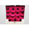 Gerbera Gr Diamond Aladin