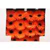 Gerbera Gr Diamond Applause