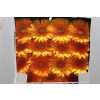 Gerbera Gr Diamond Berbatov