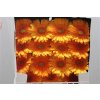 Gerbera Gr Diamond Berbatov