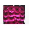 Gerbera Gr Diamond Bon Dia