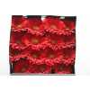Gerbera Gr Diamond Brunello
