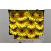 Gerbera Gr Diamond Cabana