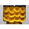 Gerbera Gr Diamond Captiva