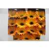 Gerbera Gr Diamond Catwalk