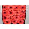 Gerbera Gr Diamond Colima