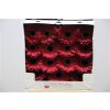 Gerbera Gr Diamond Dark Diamond